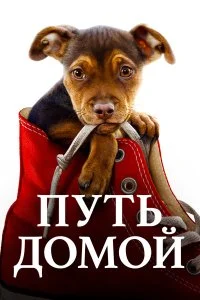  Путь домой  смотреть на лорде онлайн бесплатно