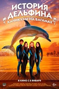  История дельфина: Каникулы на Багамах 