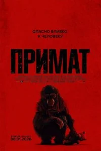  Примат  смотреть бесплатно в хорошем качестве